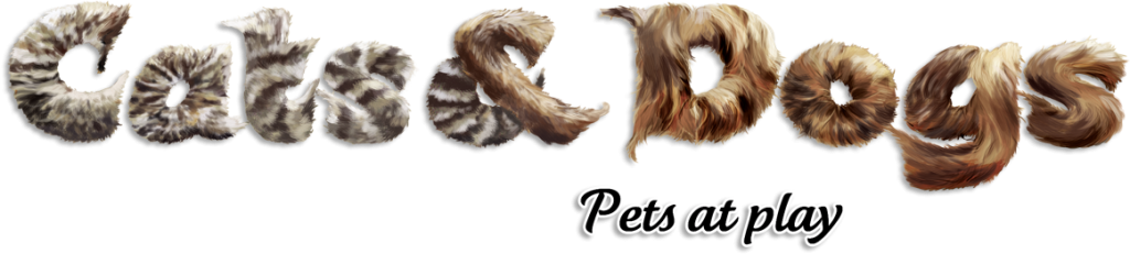 Cats & Dogs: Pets at Play