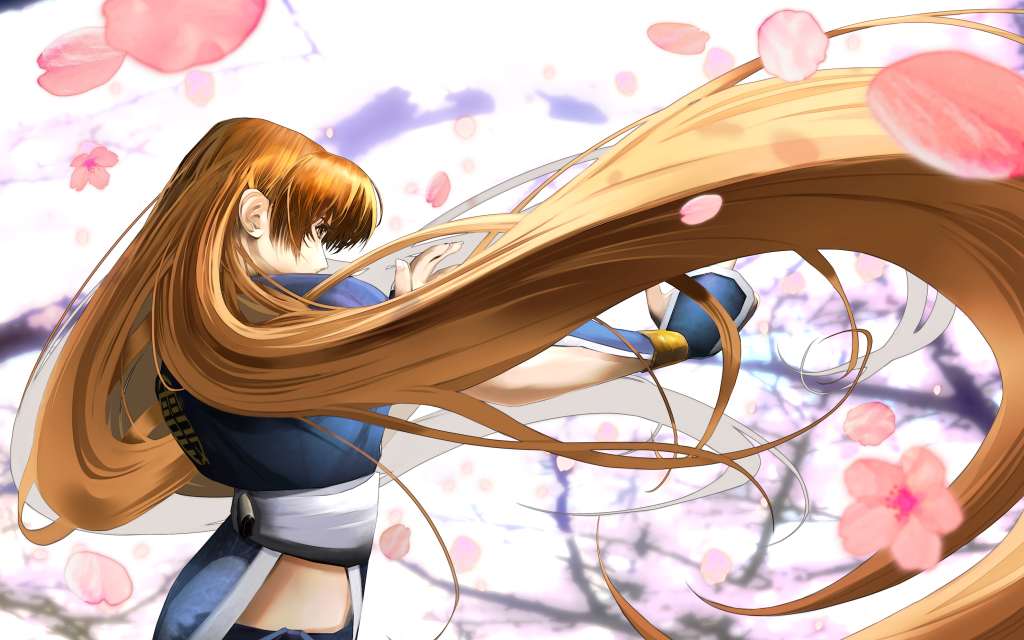Dead or Alive: Dimensions